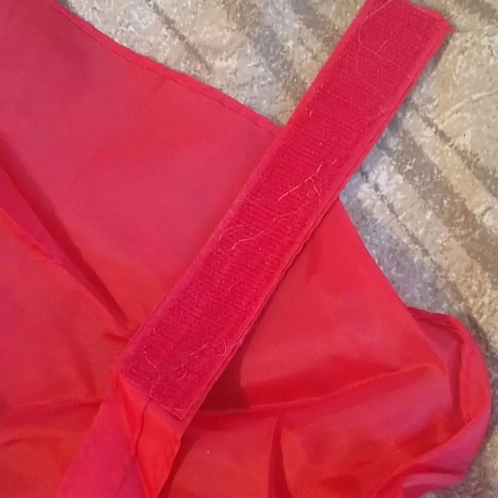 3 For $12 Sale! Dog Devil Costume